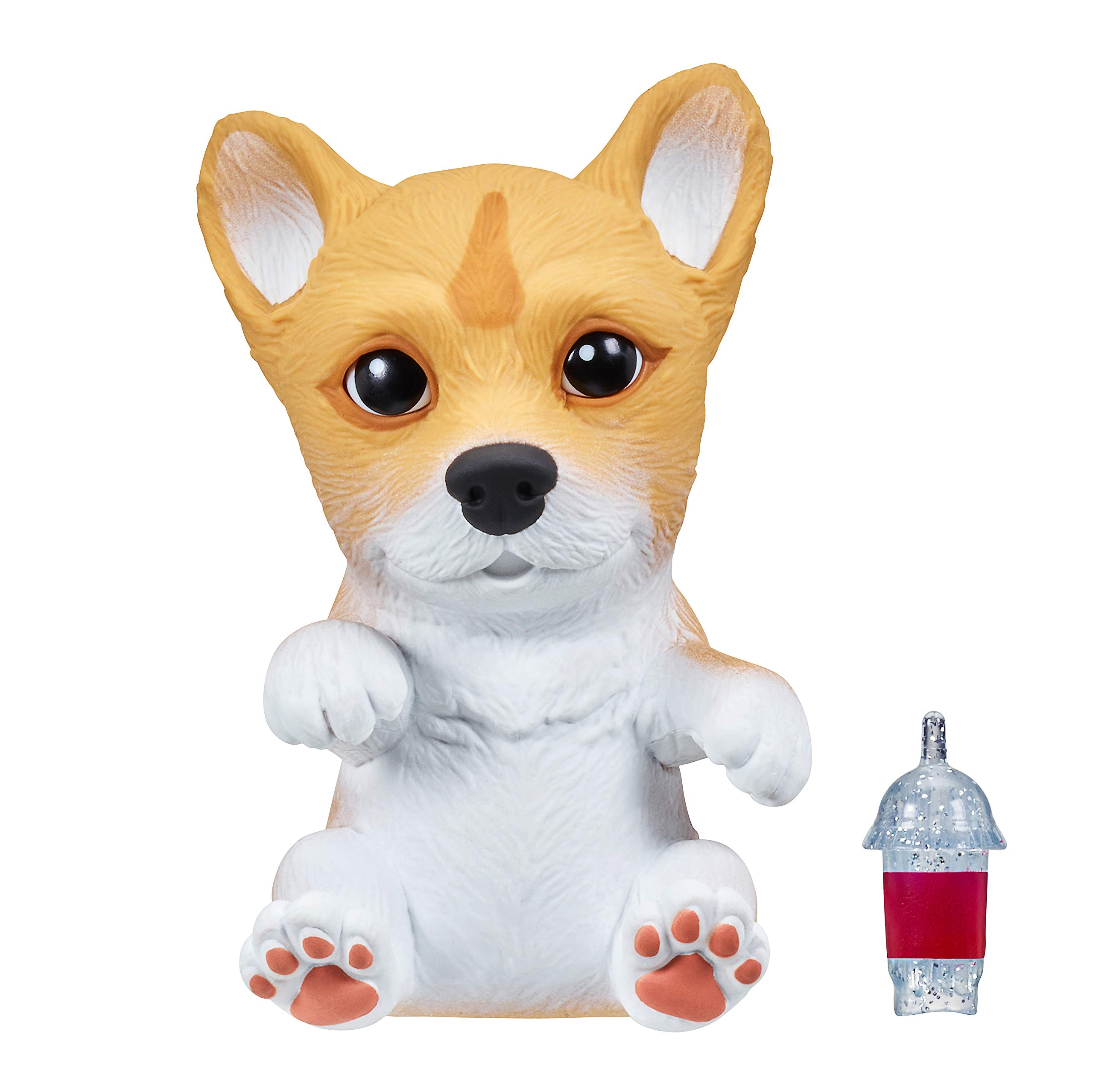 OMG PETS CORGI