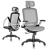 GABRYLLY Ergonomic Office Chair, High Back Home