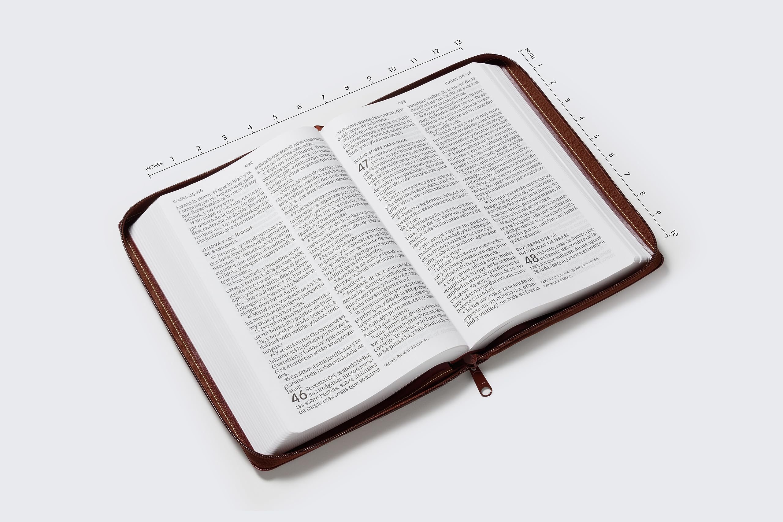 RVR60, Santa Biblia, Letra Supergigante, Leathersoft, Café, con Cierre, Comfort Print (Spanish Edition)