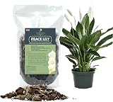 GardenNova Peace Lily Potting Mix 1L Premium Organic Compost Bark Perlite