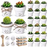 MTLEE Cactus Candle Planter, 18 Pcs Paraffin Wax Succulent Tealight Candles with Mini White Terracotta Clay Pots, for Party Favor, Fiesta, Birthday, Wedding Decor, Indoor, 1.57x1.57 inches