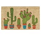 DII Indoor/Outdoor Natural Coir Easy Clean Rubber Non Slip Backing Entry Way Doormat For Patio, Front Door, All Weather Exterior Doors, 18 x 30" - Cactus