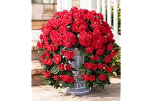 Artificial Geraniums Fake Flowers Hanging Plants for Outdoors Spring Decor, 2 PCS Realistic Faux Silk Red Geraniums Long Trai