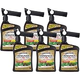 Spectracide Immunox Fungus Plus Insect Control for Lawns 32 oz, 6 Pack | Hose-End Concentrate Controls Lawn Diseases &amp; Fungus, Kills Insects on Contact, Covers Up To 2,500 SqFt., Treat Every 2 Weeks