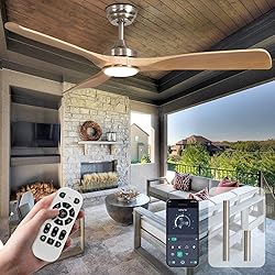 BvenuBigLite Outdoor Ceiling Fan with Light: 52