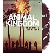 Animal Kingdom Complete First Season DVD