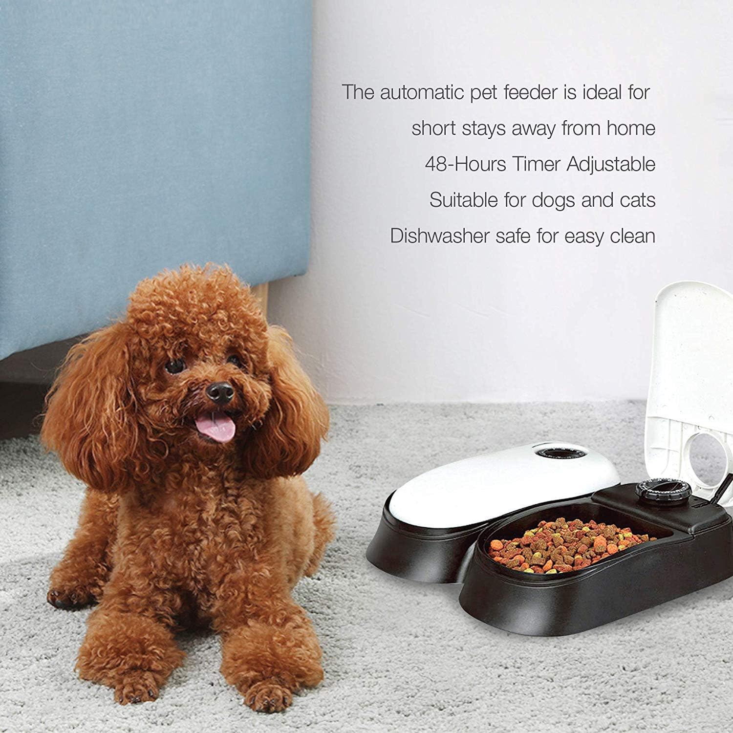 digital dog feeder