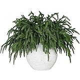 LZNPA 12 Pcs Realistic Christmas Pine Branches