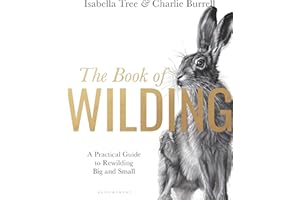 The Book of Wilding: A Practical Guide to Rewilding, Big and Small
