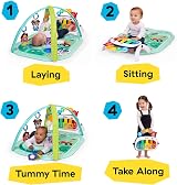 Baby Einstein Farm Explorers 4-in-1 Kickin’ Tunes Musical Meadow Gym view 2