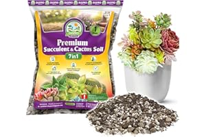 DUSPRO Succulents Soil Potting Mix – 7 in 1 Ingredients Well-Draining, Nutrient-Rich Cactus Potting Soil for Succulents and Cacti, Indoor & Outdoor Use, Ready to Use, Supports Healthy Root Growth, 1QT