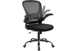 Youhauchair Mesh Office Chair, Ergonomic Computer Chair with Flip-up Arms and Lumbar Support, Height Adjustable Home Office Desk Chairs, Black