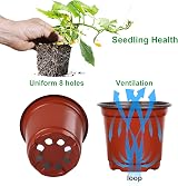 Augshy 110 Pcs 4 Inch Red Plastic Plant Nursery Pots Succulent Seedling view 4