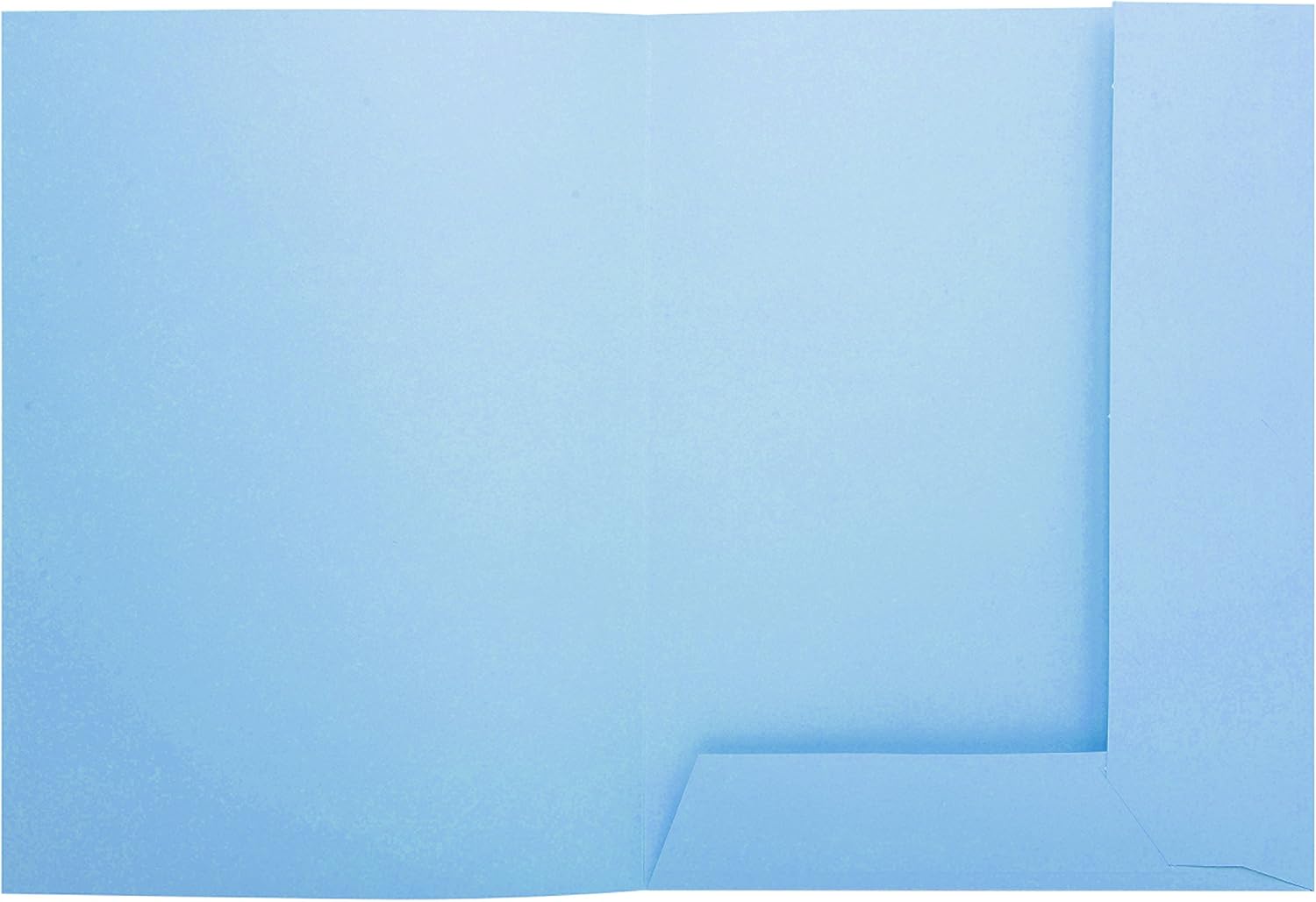 Exacompta, Ref 332006E, Super 210 2-Flap Folders, 240 x 320mm in Size, Suitable for Holding A4 Documents, 210gsm Card - Image 4