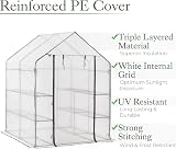 Christow Walk In Greenhouse 6ft 4in x 4ft 7in Reinforced Steel Frame view 3