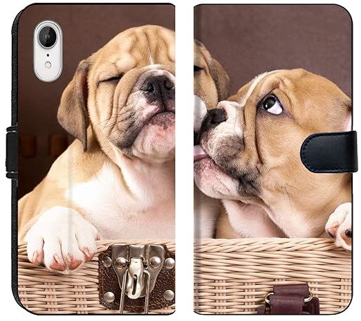 micro bulldog puppies