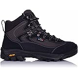 Anatom v2 vorlich Clearance