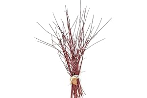 Tin Roof Treasure Fresh Cut Red Dogwood Branches, 2'-3', Pack of 15 for Seasonal Decor