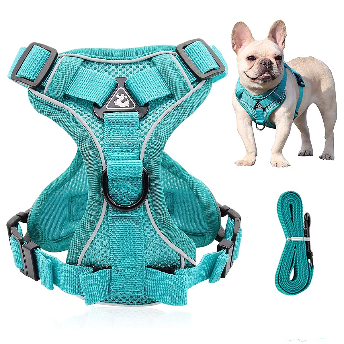 ZEACCT No Pull Dog Harness and Lead Set, Front Clip Vest, Soft Mesh Reflective Breathable Pet Dogs Leash Rope, Adjustable Step-In Cat Training for Small Big ( M ), Lake Blue