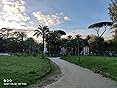 Immagine cliente