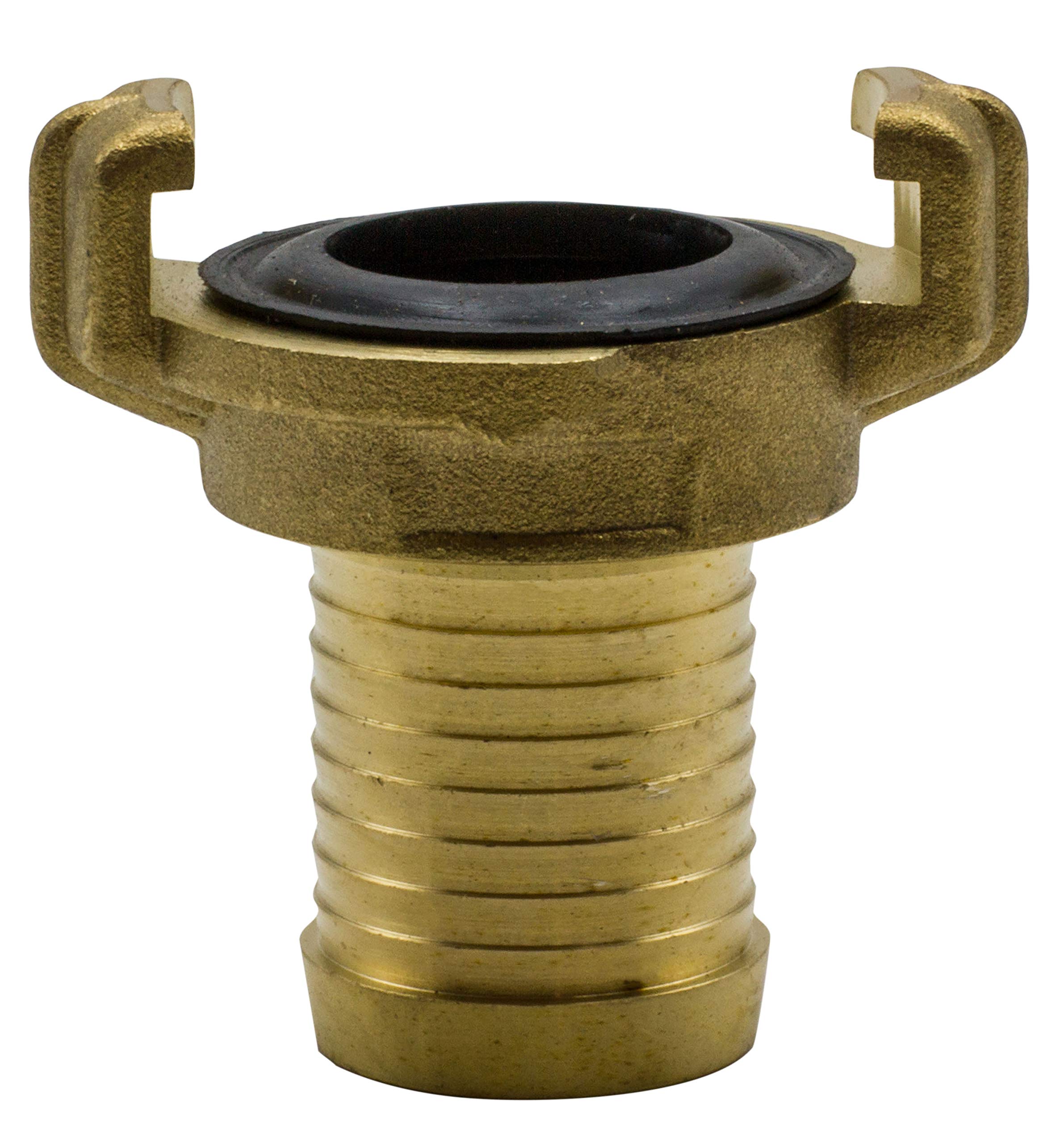 Riegolux 291500 Brass Hose Connector 15 mm, Multicoloured, 2 Units D/B