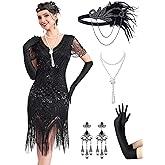 MTITE 1920s Flapper Dresses for Women, Great Gatsby Dresses Roaring 20s, Sheer Beaded Sleeves Costume with 20s accessories