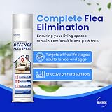 Quebec Household Flea Spray 500ML – Flea Tick Bed Bug Ant Pest Control view 3