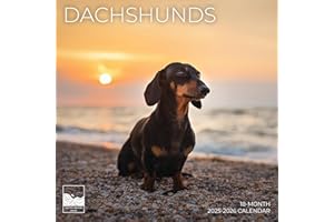 Dachshund Wall Calendar 2026 | 12" x 24" Open | Giftable Dog Calendar 2026 | Thick & Sturdy Paper for Organizing & Planning | Pacific Waters Press (Dachshund)