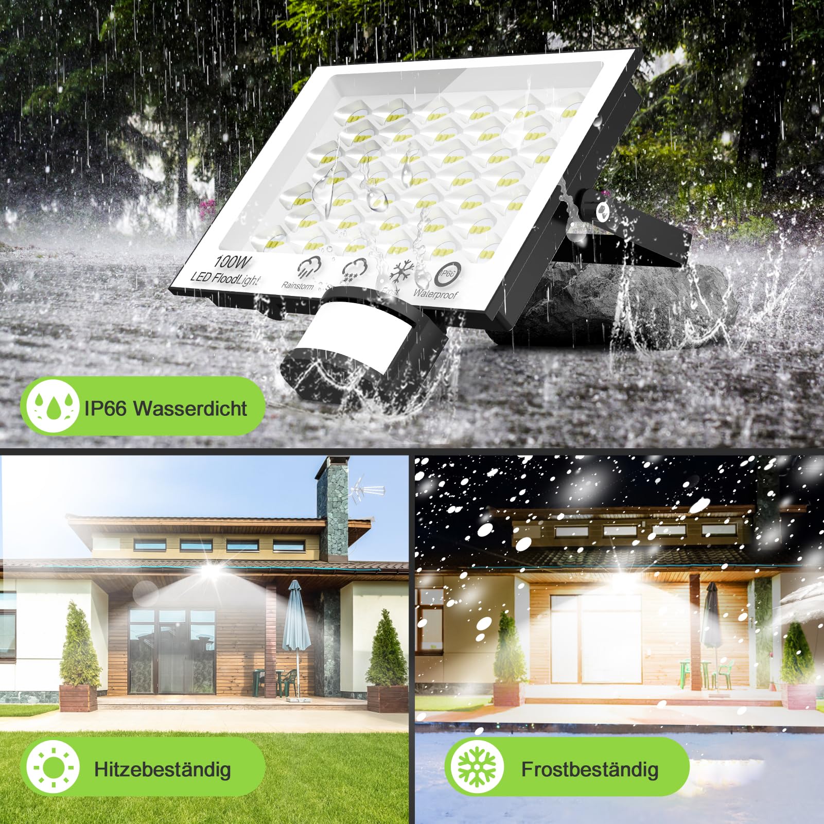 View 6