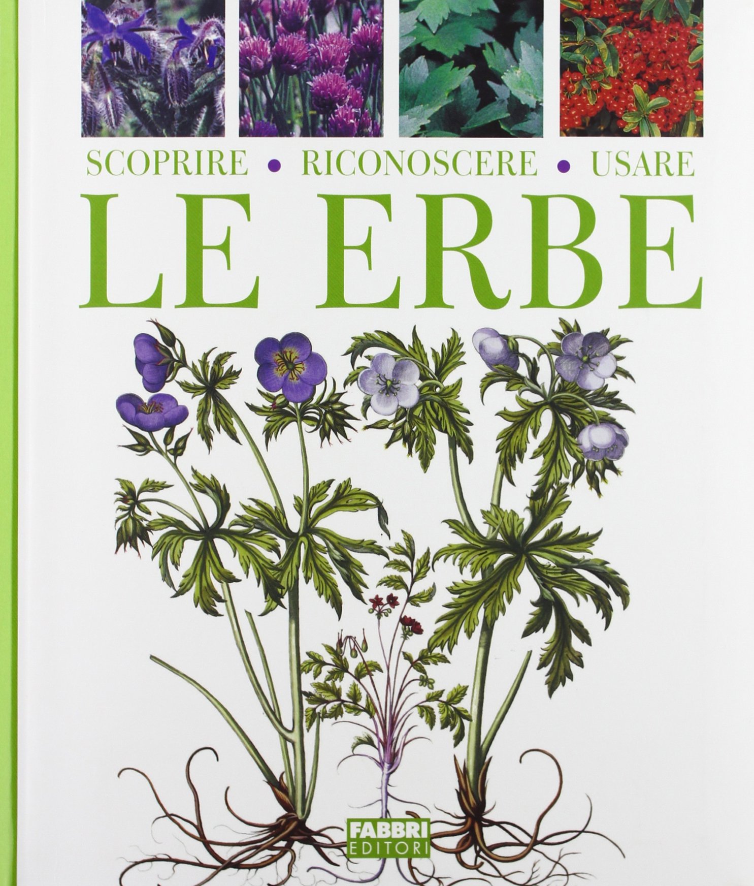 Scoprire Riconoscere Usare Le Erbe Amazon De Boni Umberto Patri Gianfranco Bartolaminelli A Fremdsprachige Bucher