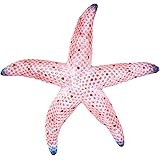 Charlotte International Sea Star Red Starfish Wall Decor 9 Inch Resin Plaque