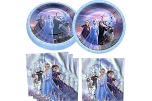 ANANJU ZHOUHUA 40pcs Frozen Princess Party Supplies 20 Plates + 20 Napkin Frozen Princess Birthday Party Decorations, for Girl and Boy (Frozen 40pcs)