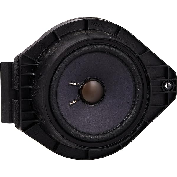 Amazon.com: GM Genuine Parts 22753364 Rear Side Door Speaker  