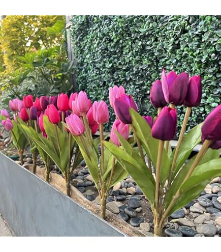 Amazon.com: Fox Valley Traders Miles Kimball Varying Colors Set of