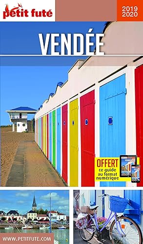 Download Petit Futé Vendée PDF