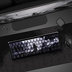 GMKWTL XVX Swordsman Double Shot PBT Keycaps, Side