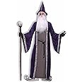 Forum Novelties Men's Wizard Adult Costume