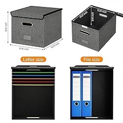 Forlogic File Organizer Box with Lid, Collapsible