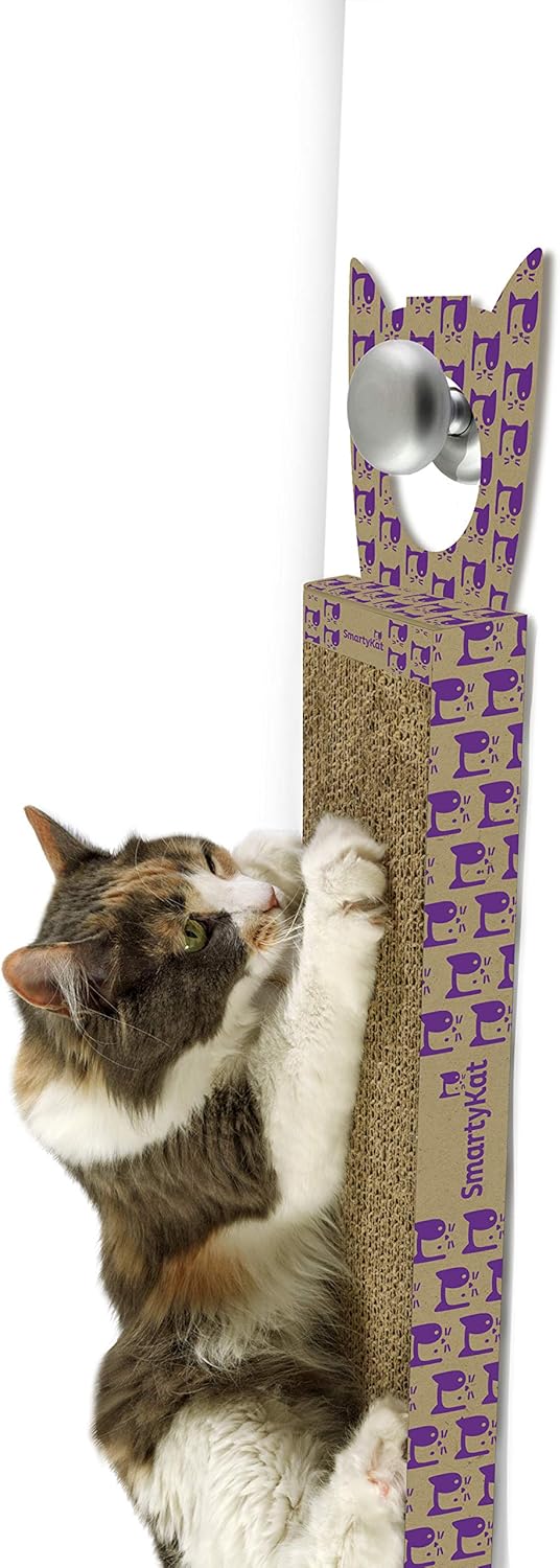 worldwise cat scratcher