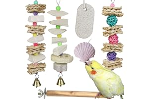 QIMILENZY Parrot Chewing Toys (6 pcs) Natural Cuttlebone Bird Beak Trimmer Grinding Stone Lava Block Calcium Stone Bird Perch Cage Toys for Small and Medium Parakeets, Cockatiels, Conures, Budgies, Lovebirds