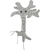 GIANTmicrobes Brain Cell Plush, Neuron Plush, Neuroscience Gift, Neurology, Science Plushies, Neuron Model Anatomy, Psychology Gifts, Psychology Decor, Brain, TBI, Mental Health Awareness