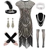 WILDPARTY 1920s Women Flapper Dresses Sequin Dresses Vintage Lace Fringed Cocktail Dress with 20s Accessories Set