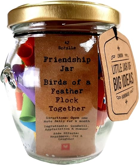 Little Jar Of Big Ideas Barattolo Con Frasi A Tema Amicizia Con Scritta Friendship Jar Birds Of A Feather Flock Together Artigianale Amazon It Casa E Cucina