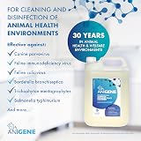 ANIGENE Surface Disinfectant Cleaner Byotrol 5 L Apple Scent UK Made view 6