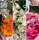 Guerlain Aqua Allegoria Flora Cherrysia EDT Spray Fragrance 75ml view 4