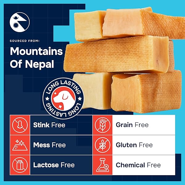 100% NATURAL YAK CHEESE HIMALAYAN MADE DOG CHEWS ALL BREEDS – LACTOSE FREE YAK CHEW FOR SMALL MEDIUM & LARGE DOGS – DENTAL CLEANING DOG CHEWS FOR AGGRESSIVE CHEWERS – LONG LASTING ODOR & GLUTEN FREE