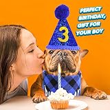 Cobee Dog Birthday Bandana Hat Number Set 10 pcs Blue Glitter 8 Numbers view 6