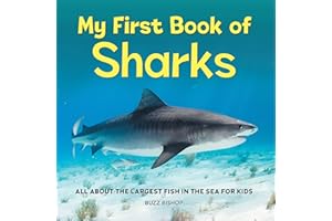 My First Book of Sharks: All About the Largest Fish in the Sea for Kids