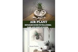 AIR PLANT: Detailed Guide to Tillandsia Care and Display Guide