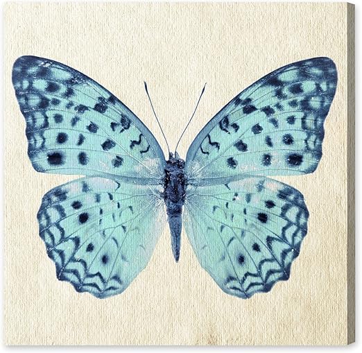Amazon Com Oliver Gal Blue Butterfly Canvas Art 16 X 16